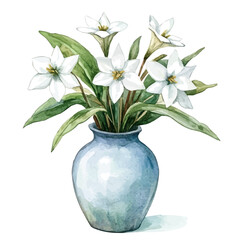 A Star Of Bethlehem In A Vase, watercolor drawing vector, isolated on a white background.