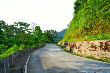 A tranquil curved road surrounded by dense greenery captures the serene essence of a tropical environment, perfect for conveying concepts of travel, tranquility, and natural beauty.