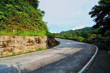 A tranquil curved road surrounded by dense greenery captures the serene essence of a tropical environment, perfect for conveying concepts of travel, tranquility, and natural beauty.
