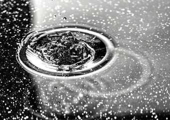 Splash - makrofotografia kropli wody