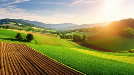 Lush Green Rolling Hills Under Bright Blue Sky at Sunset with Vibrant Fields