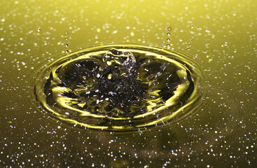 Splash - makrofotografia kropli wody