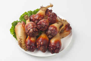  The sea squirt is a protosquid of the sea squirt family. Its body length is 5 to 15 cm and its...