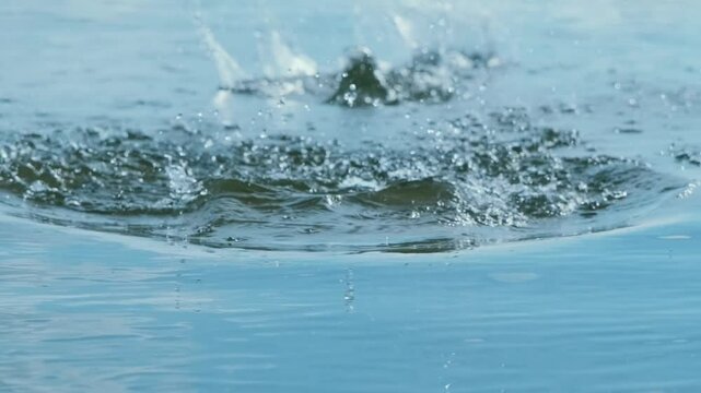 captivating water splash in calm lake as stone