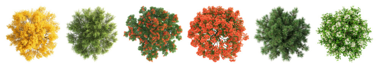 PNG Colorful vibrant floral arrangements, element set on transparent background