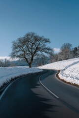 Winter road with snow-covered landscape and bare trees under clear blue sky