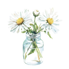 A Small White Aster In A Vase, watercolor painting vector, isolated on a white background.