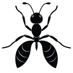 ant vector