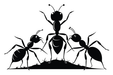 Three black ants on a small mound exhibit social interaction in silhouette