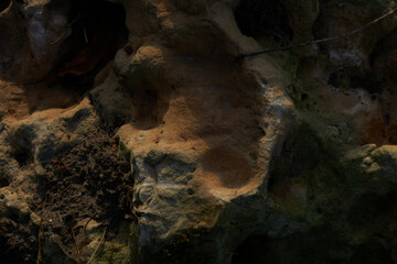 texture of a rock
