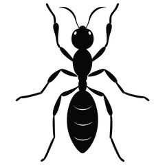 ant vector