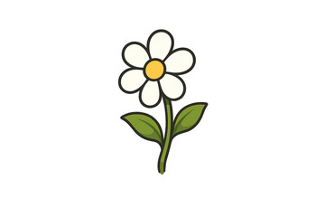 Simple daisy flower cartoon vector illustration. Cute white chamomile blossom with green leaves and stem. Isolated floral element for spring or summer design. Nature plant icon.
