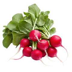 Fresh radishes with tops on transparent background