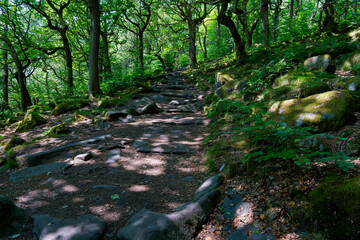 Gritstone rocks form steps up the steep slopes of Padley Gorge.