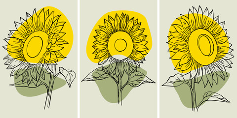 Flower wall art plant of sunflowers set. Foliage of nature line art drawing with abstract shape. Modern Abstract Plant Art design for print, cover, wallpaper, illustration with decor wall art.