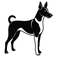 basengi vector dog