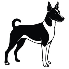 basengi vector dog