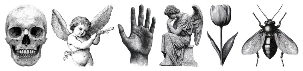 PNG Eclectic monochrome vintage illustrations, element set on transparent background