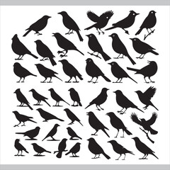 Seamless bird pattern with perched and flying birds in artistic silhouette design