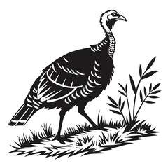 Black silhouette shows a turkey standing in grass with nearby foliage against white