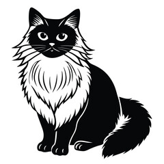 birman vector