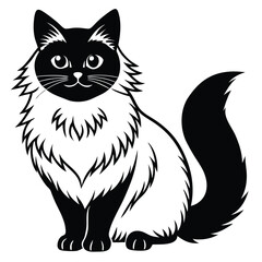 birman vector