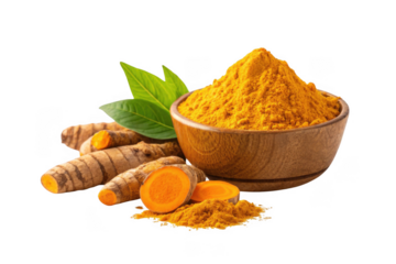 Organic turmeric powder and roots on a white background