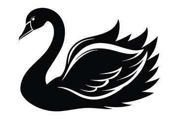 Fototapeta premium Majestic silhouette of a black swan gracefully resting creates a captivating avian imagery