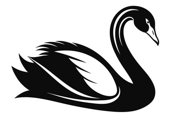 Graceful monochrome swan displays its elegant form on a pristine white background beautifully