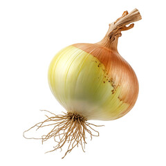 Isolated image of a golden onion with roots and stem on a plain field on transparent background