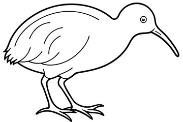 Simple Kiwi Line Drawing