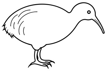 Simple Kiwi Line Drawing