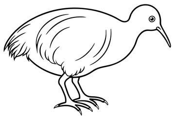 Simple Kiwi Line Drawing