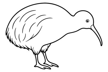 Simple Kiwi Line Drawing