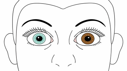 Woman's Face with Different Colored Eyes - Line Art Illustration