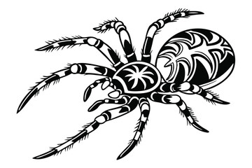 Detailed depicts a black spider with intricately patterned legs and abdomen over white