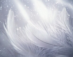  Airy soft Abstract gentle natural background with bird feathers macro with soft focus on lig.jpg