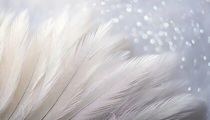 Fototapeta premium Airy soft Abstract gentle natural background with bird feathers macro with soft focus on lig.jpg