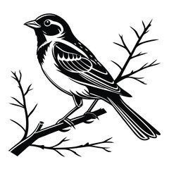 Monochrome bird perched gracefully on a stark black branch exhibits detailed feather patterns