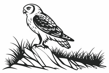 A stoic owl perches confidently amidst tufts of stylized grass in monochrome