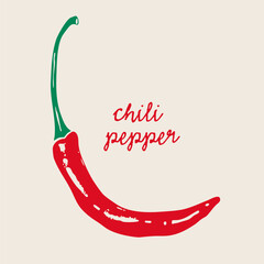 Red hot chili Pepper. Whole thin pepper. Side view. Tiny hot spice. Hand drawn modern Vector illustration. Farm market, natural eco product concept. Isolated design element. Print, sticker template