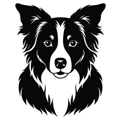 Fototapeta premium collie dog vector