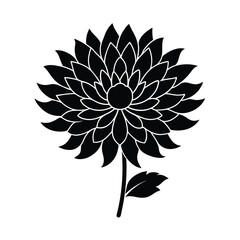 Chrysanthemum flower vector silhouette