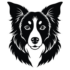 Naklejka premium collie dog vector