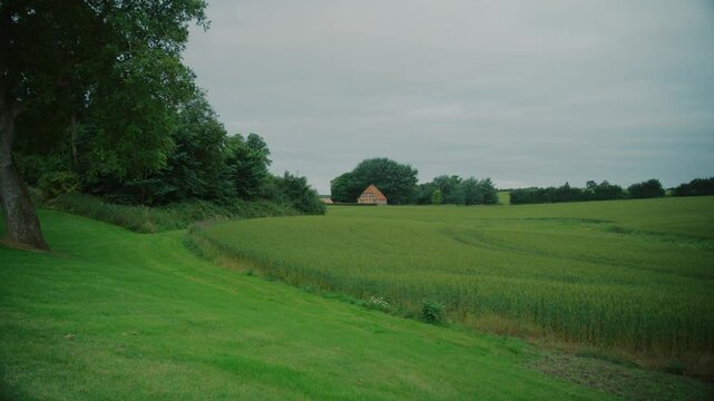 Green landscape with distant house, peaceful countryside on Langeland, Denmark