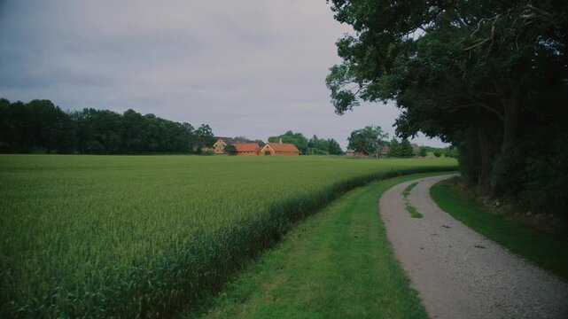 Green fields and a winding gravel path near a farm in Langeland, Denmark