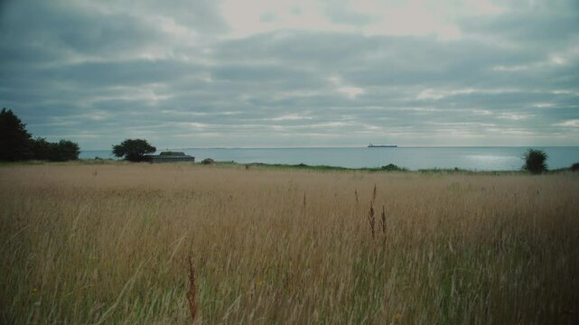 Calm, peaceful view of a grassy field with coastline in Langeland, Denmark