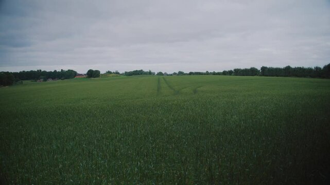 Lush green field under cloudy sky, rural landscape of Langeland, Denmark
