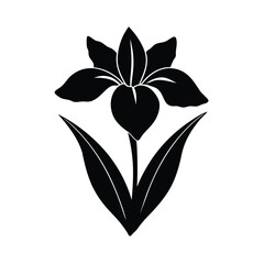 Iris flower vector silhouette