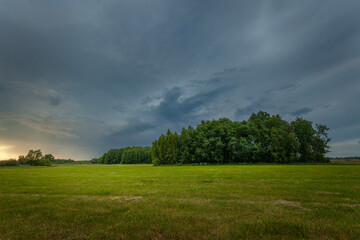 Cloudy stormy sky over a meadow with trees